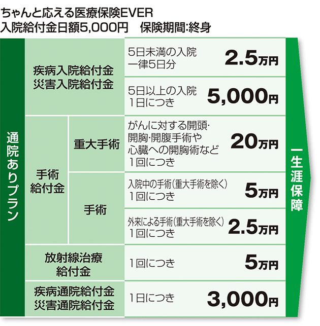 保障内容