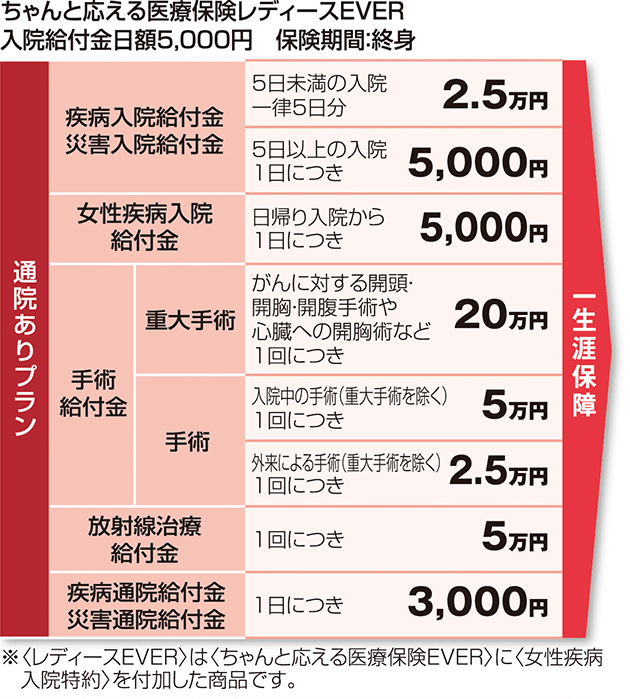 保障内容